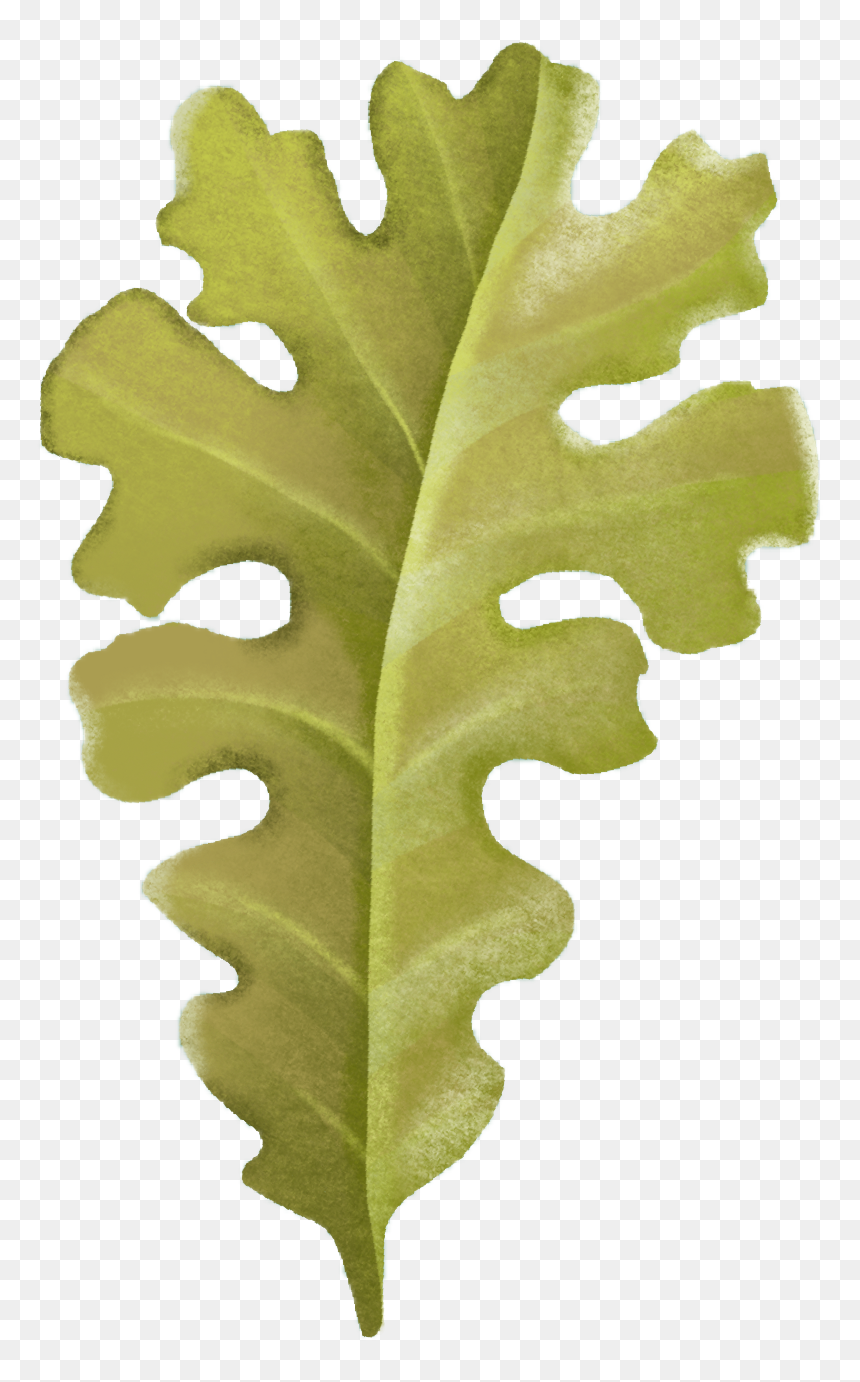 Polaroid .png, Transparent Png - polaroid .png