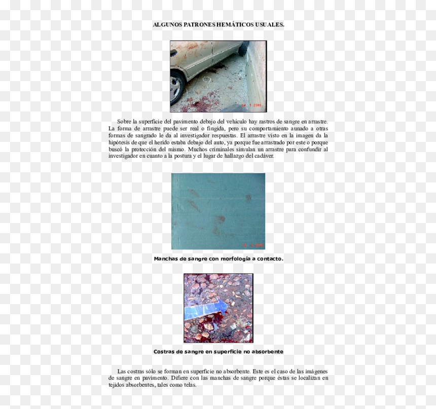 Document, HD Png Download - manchas de sangre png