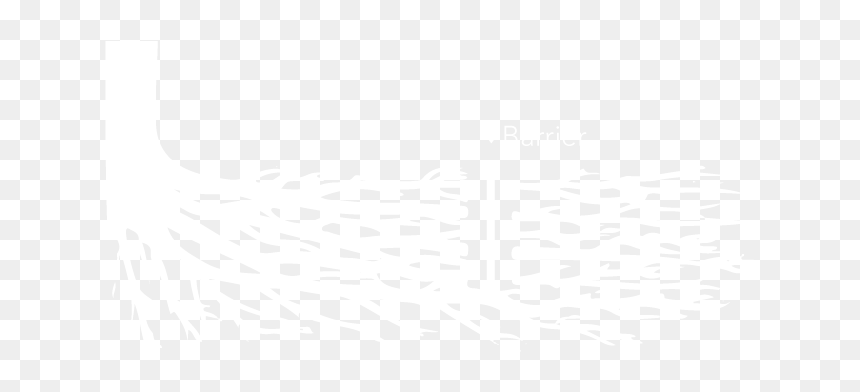 Graphic Design, HD Png Download - roots vector png