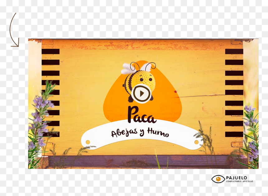 Ahora Ya Sabéis Que El Humo Provoca En Nosotras Una - Abeja Paca Granja San Francisco, HD Png Download - abeja png