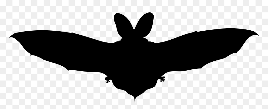 Brown Long Eared Bat Big Image Png - Clip Art, Transparent Png - brown png
