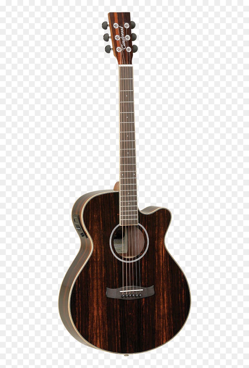 Tanglewood Dbt Sfce Aeb, HD Png Download - ebony model png