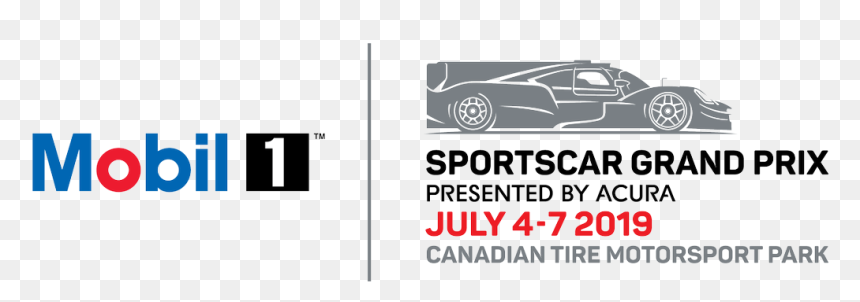 Delorean Dmc-12, HD Png Download - imsa logo png