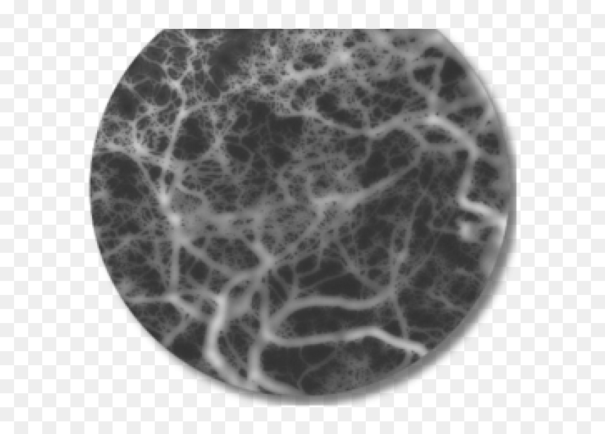Circle, HD Png Download - banhammer png