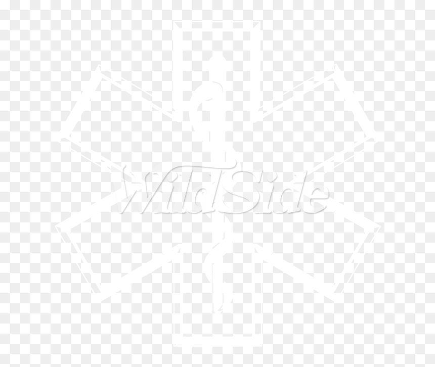 Emt Logo Png , Png Download - Bronze Serpent Medical Symbol, Transparent Png - emt png