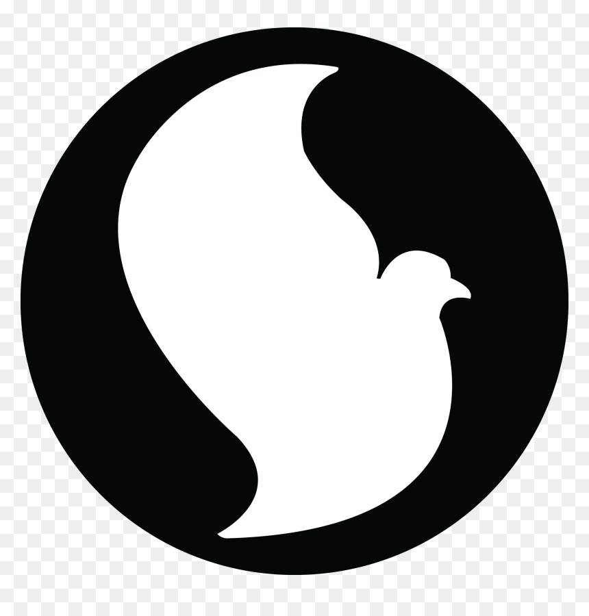 Bora Bjj Inc - Bora Brazilian Jiu-jitsu, HD Png Download - jiu jitsu png