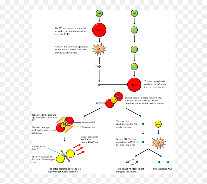 Diagram, HD Png Download - half star png