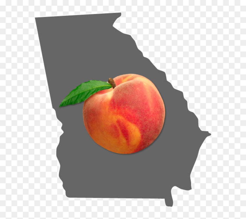 Peach, HD Png Download - state of georgia png