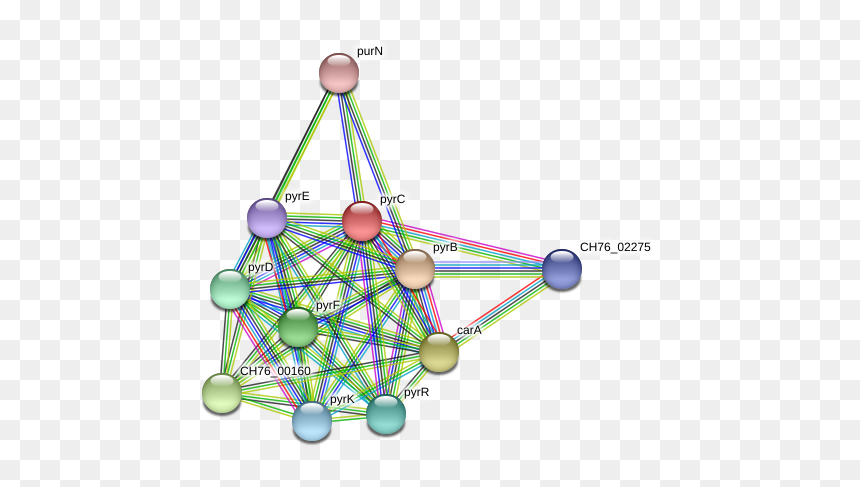 Pyrc Protein - Circle, HD Png Download - bf4 png
