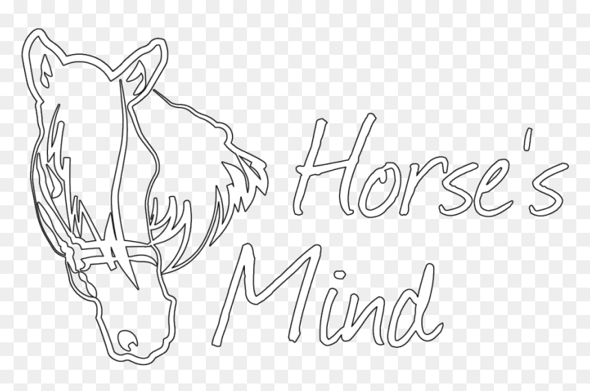 Sketch, HD Png Download - grox png