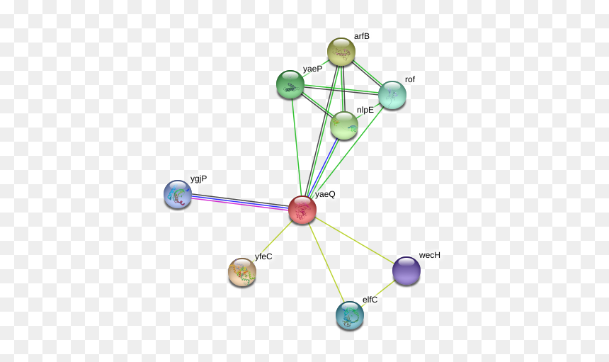 Yaeq Protein - Circle, HD Png Download - ribosomes png