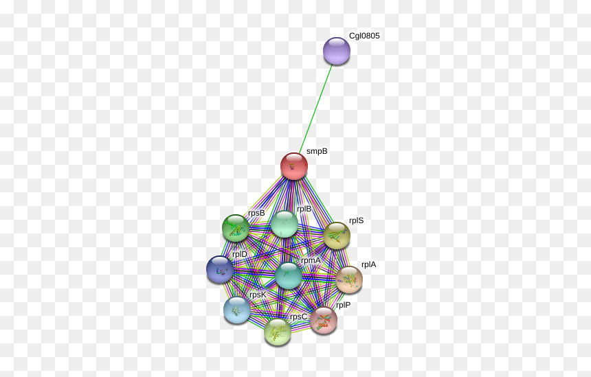 Smpb Protein - Illustration, HD Png Download - ribosomes png
