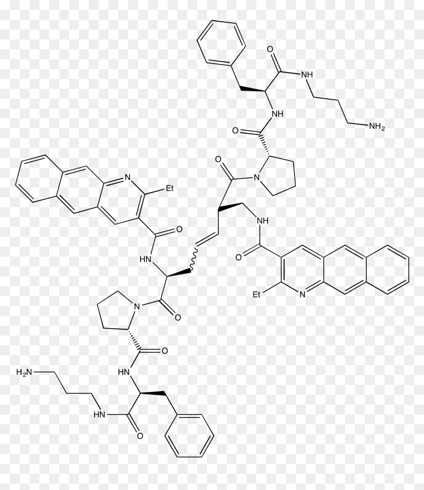 Diagram, HD Png Download - ribosomes png