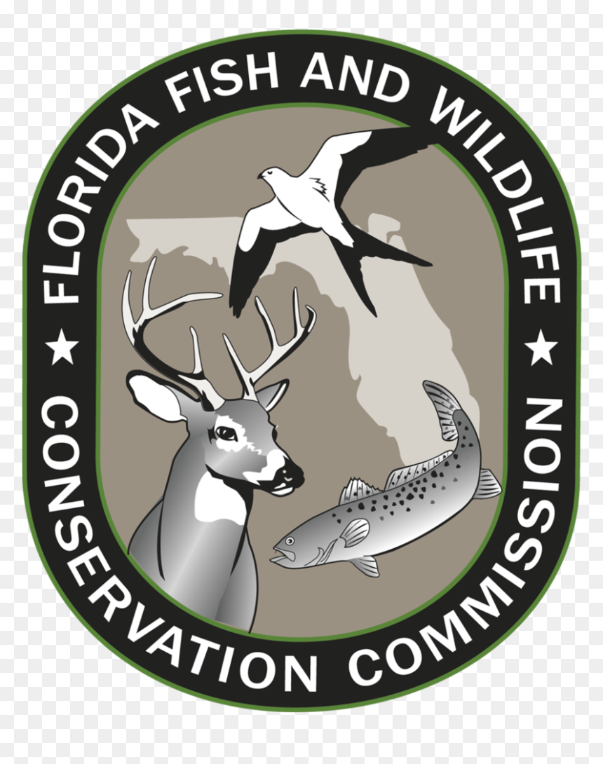 Florida Fish And Wildlife Conservation Commission, HD Png Download - snoo png
