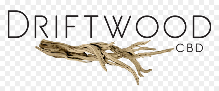 Driftwood, HD Png Download - drift wood png