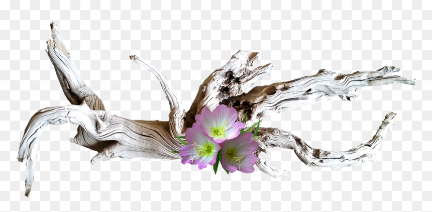 Pink, Flowers, With, Driftwood - Bois Flotté Avec Fleurs, HD Png Download - drift wood png