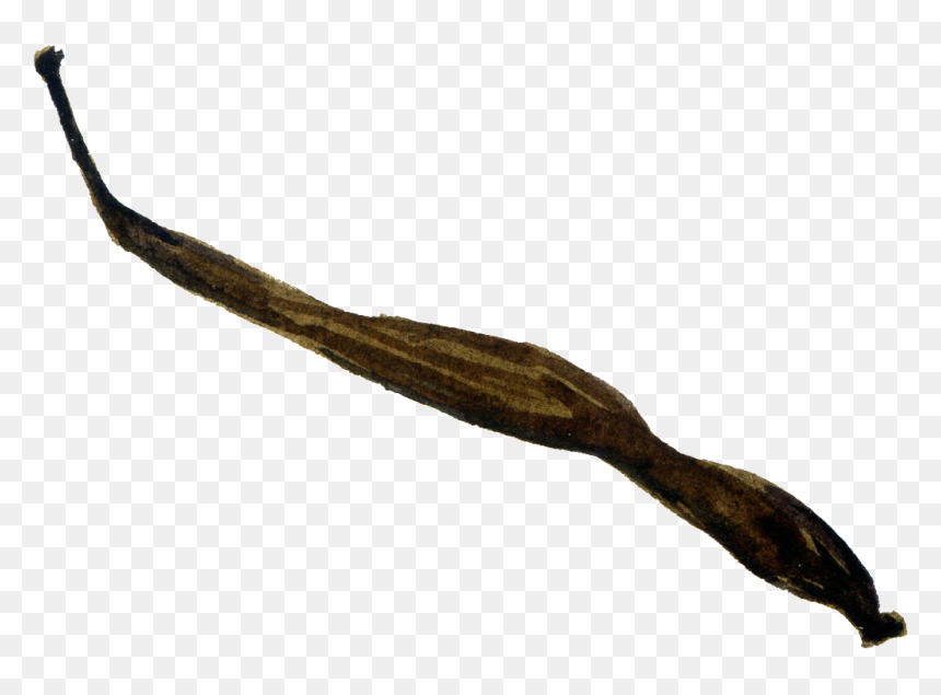Brown Black Foliage Cartoon Transparent - Twig, HD Png Download - drift wood png