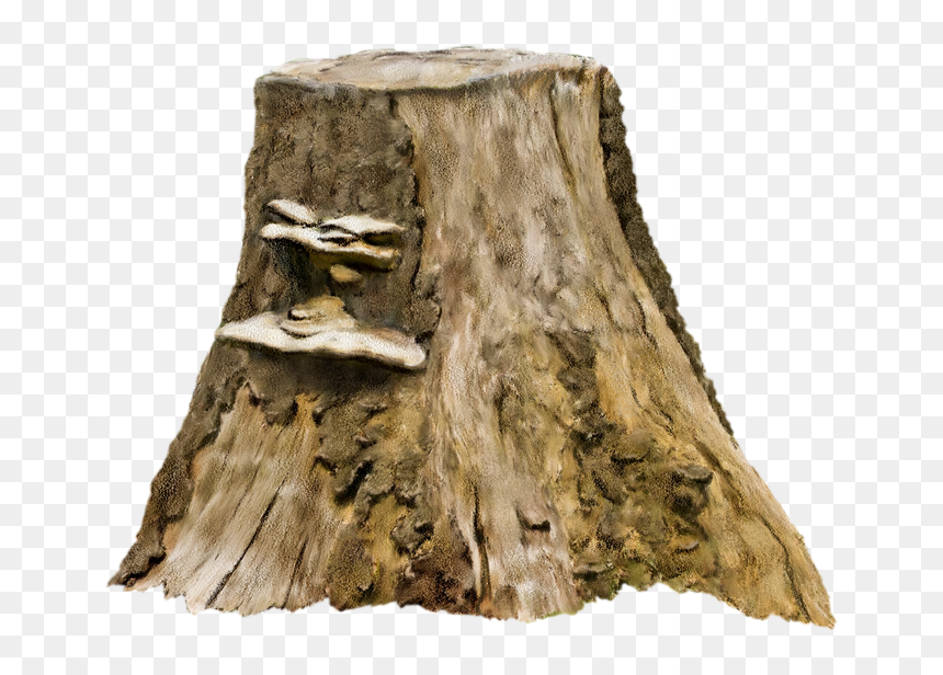 Tree Stump Photography Clip Art - Tree Stump Png, Transparent Png - drift wood png