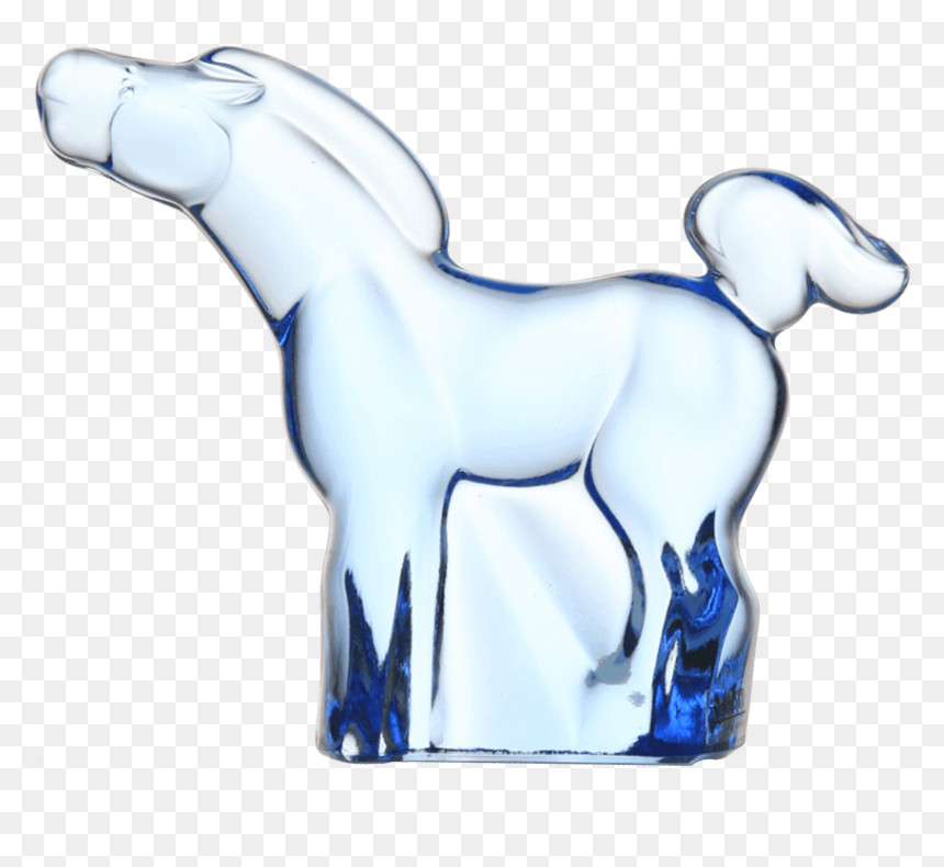Horse - Colt, HD Png Download - stallion png