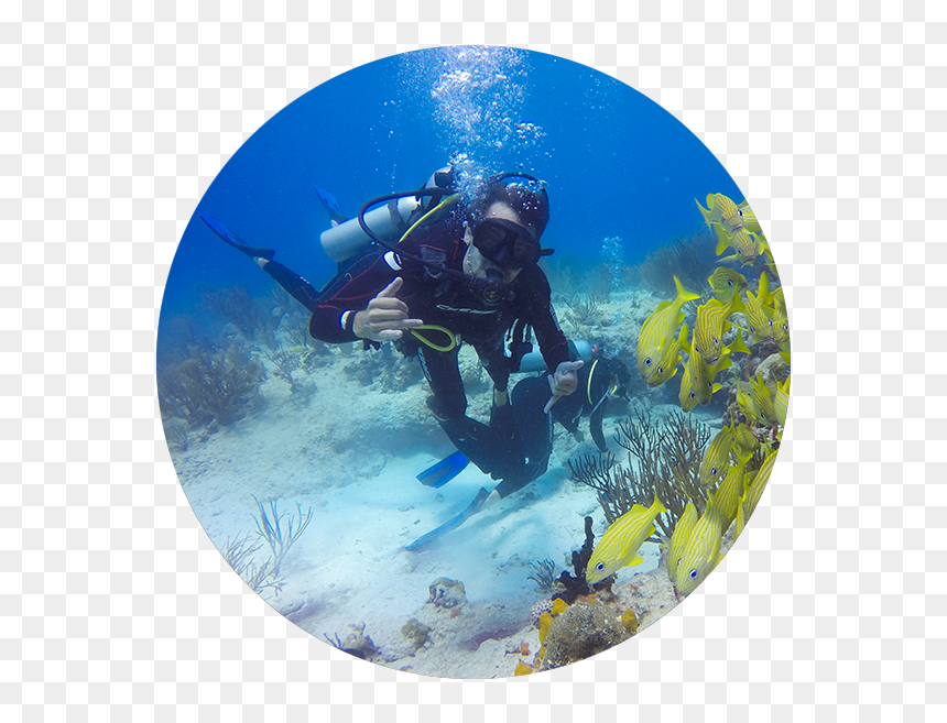 Underwater, HD Png Download - scuba png