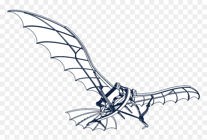 Make A Leonardo Da Vinci Glider, HD Png Download - dva png