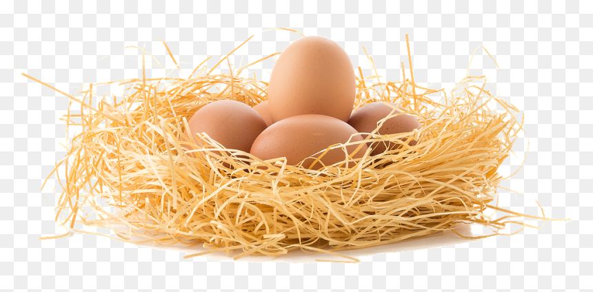 Eggs In Nest Png, Transparent Png - eggs png
