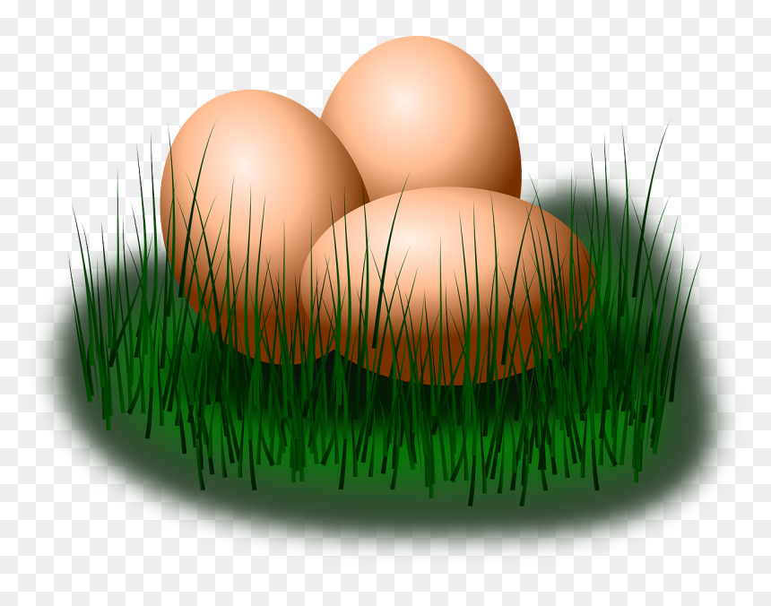 Egg On Grass Clipart, HD Png Download - eggs png