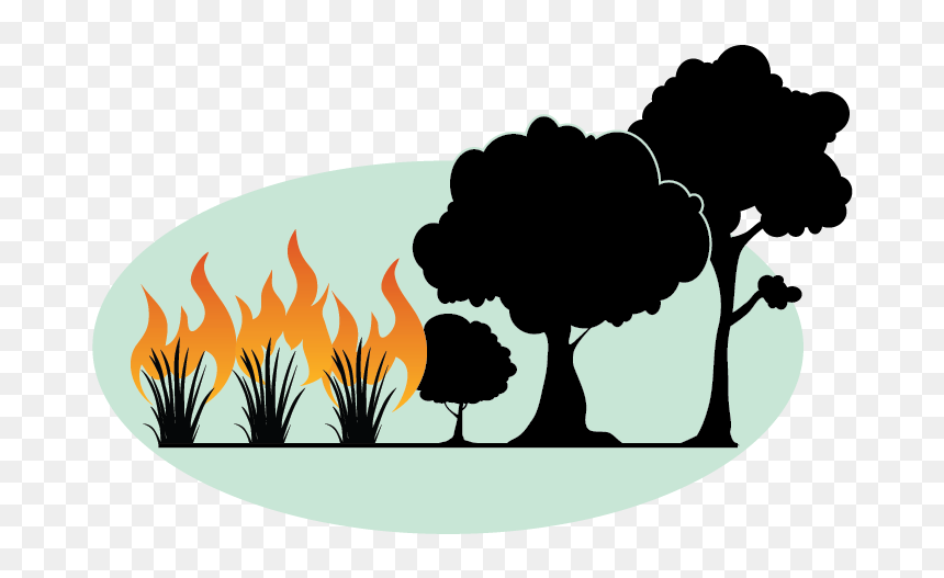 Fire Sparks Png, Transparent Png - fire sparks png