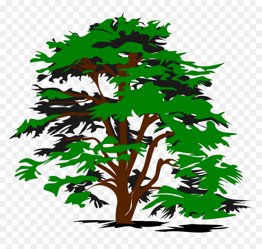 Trees Clipart Black And White, HD Png Download - tree vector png