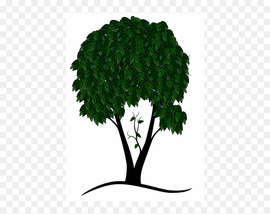 End Gif With Trees, HD Png Download - tree vector png