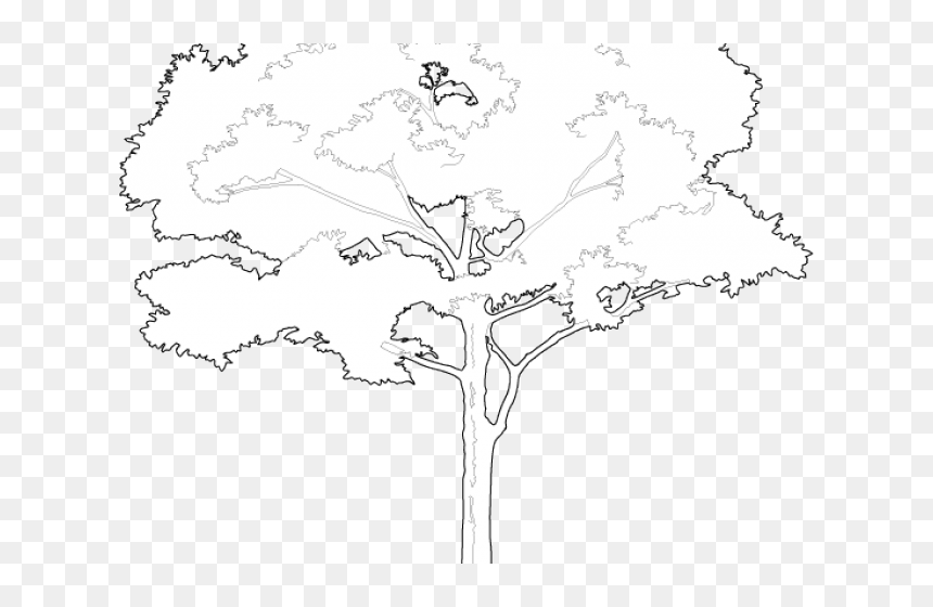 Illustration, HD Png Download - tree vector png