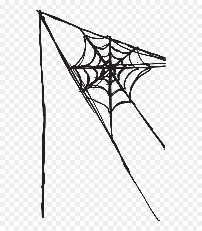 Drawn Spider Web Transparent - Bruce And The Spider Outline, HD Png Download - spider web texture png