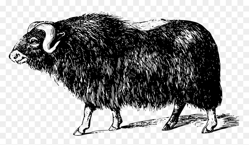 Buffalo Artico, HD Png Download - sheep icon png