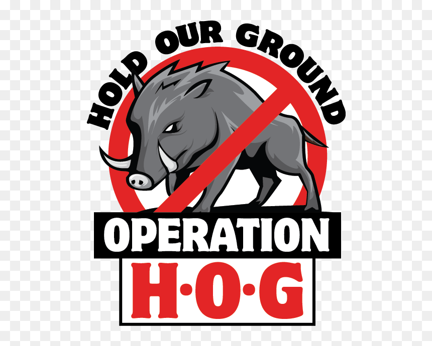 Transparent Mississippi Outline Png - Boar, Png Download - mississippi png