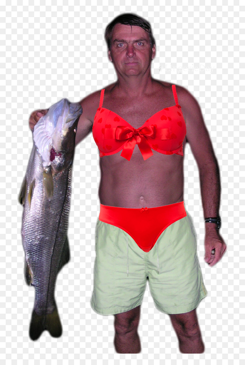 Bolsonaro Com Peixe Png, Transparent Png - peixe png