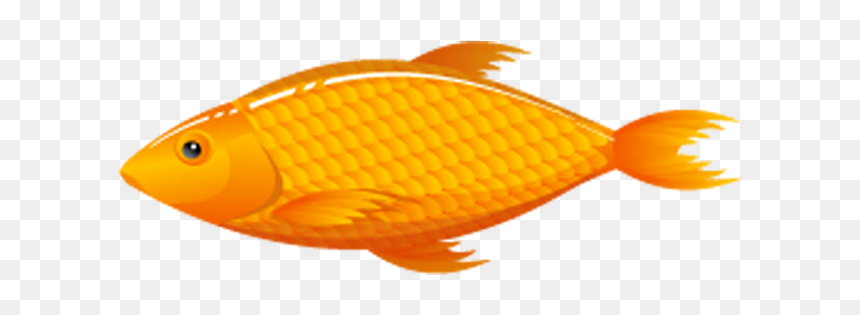 Thumb Image - Peixe Png, Transparent Png - peixe png