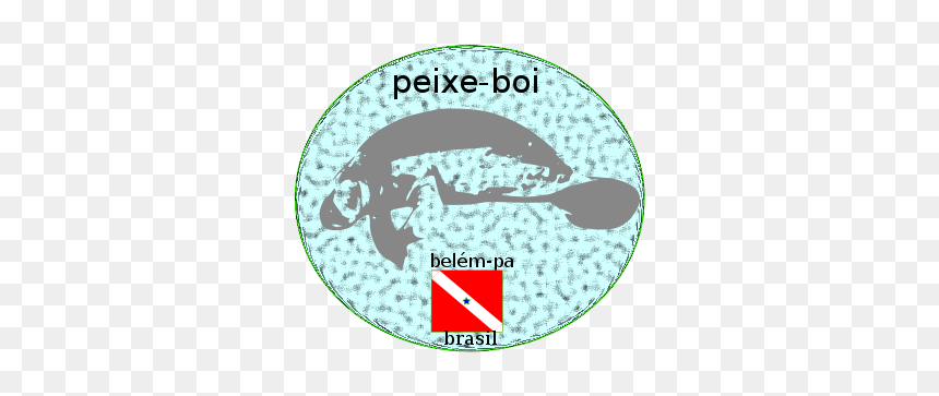 Manatee Amazon - Manatee, HD Png Download - peixe png