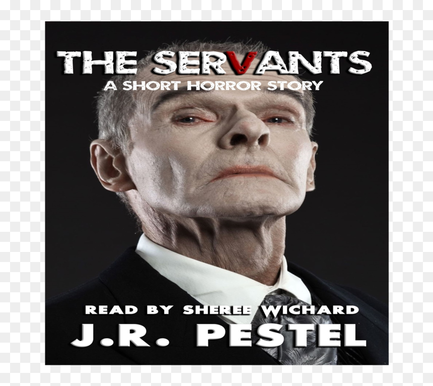 Poster, HD Png Download - servbot png