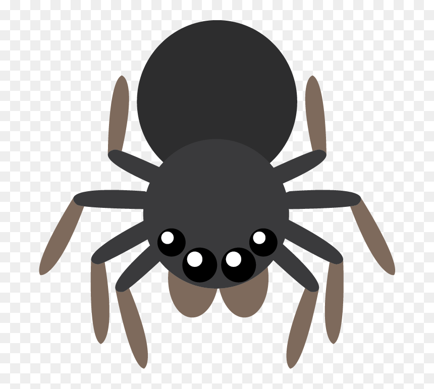 Insect, HD Png Download - spider legs png