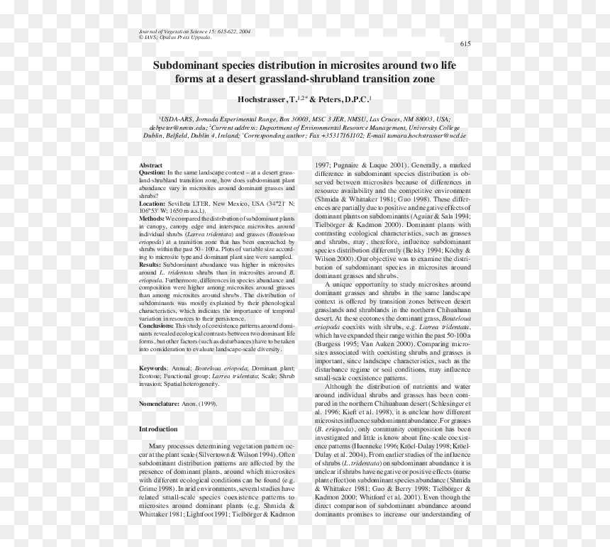 Document, HD Png Download - grime texture png