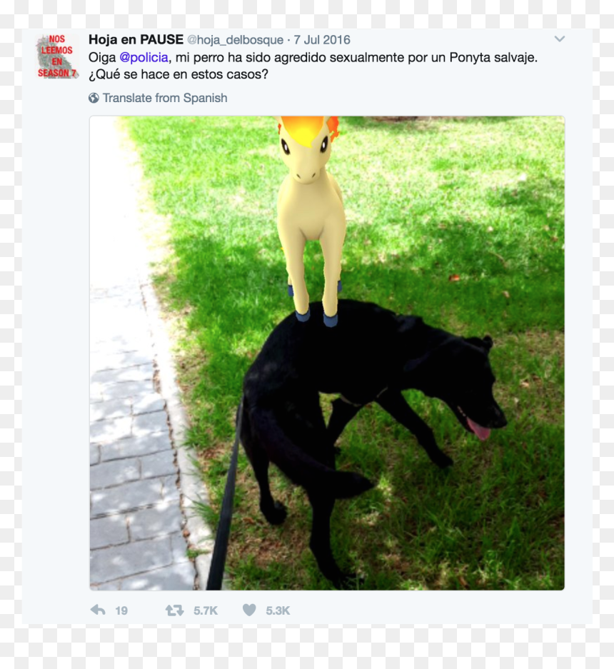 Captura De Pantalla 2017 03 09 A Las - Pokémon Go, HD Png Download - ponyta png