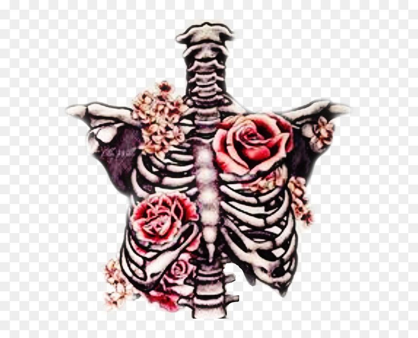 #freetoedit #ribcage #bones #roses #beautifuldeath - Skeleton And Roses Drawing, HD Png Download - ribcage png