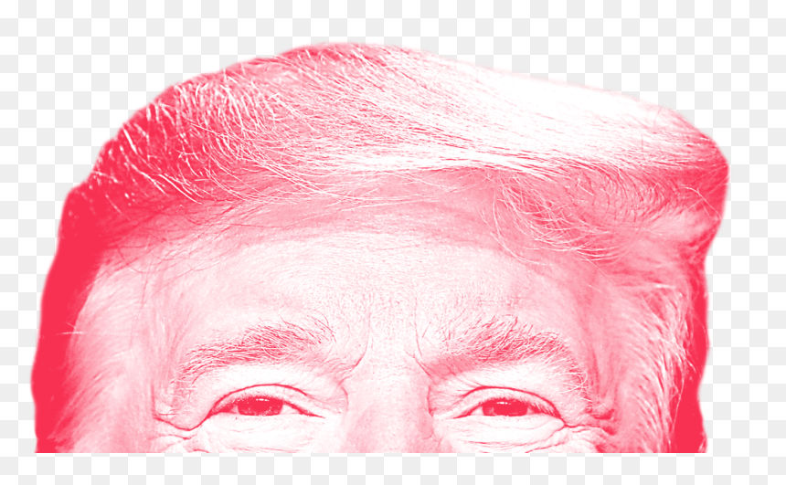 Close-up, HD Png Download - trump thumbs up png