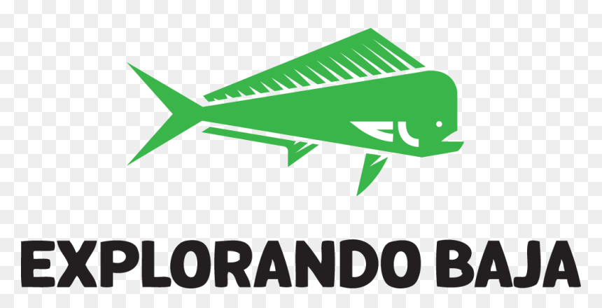 Thumb Image - Fin, HD Png Download - tecate logo png