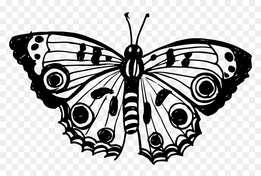 Aglais Io, HD Png Download - drawn star png