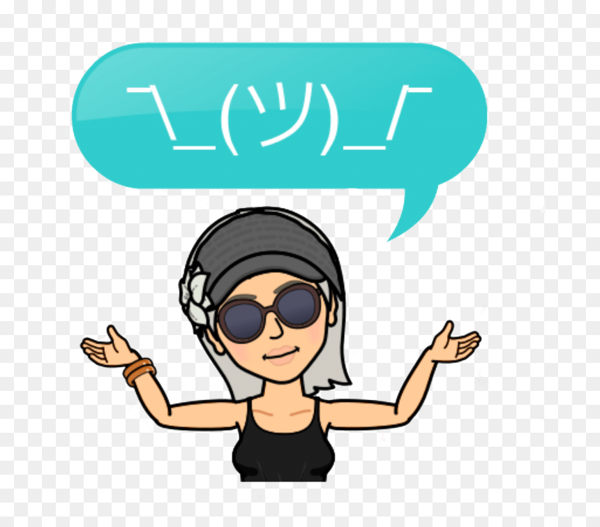 What Kind Of Camera Should I Buy - Barb Jizba, HD Png Download - bitmoji png