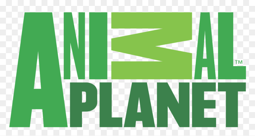 Animal Planet Logo 2008, HD Png Download - animal planet logo png