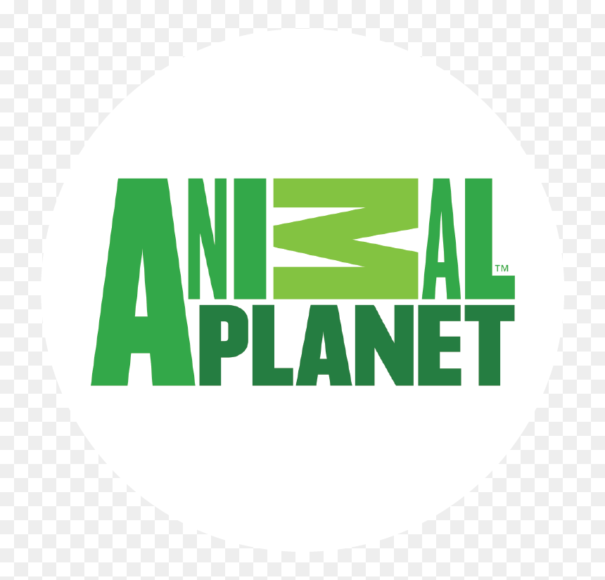 Animal Planet Logo Png , Png Download - Circle, Transparent Png - animal planet logo png