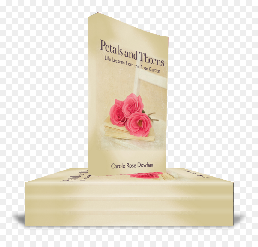 Stackedpaperback - Garden Roses, HD Png Download - rose thorns png