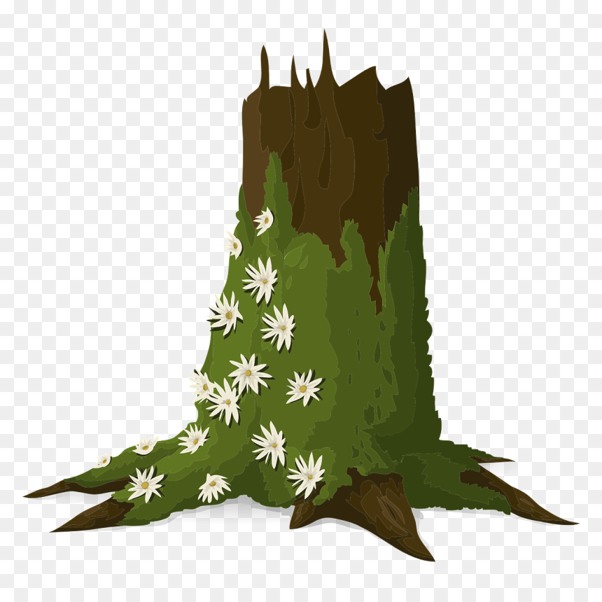 Thumb Image - Moss On Tree Clipart, HD Png Download - tronco png